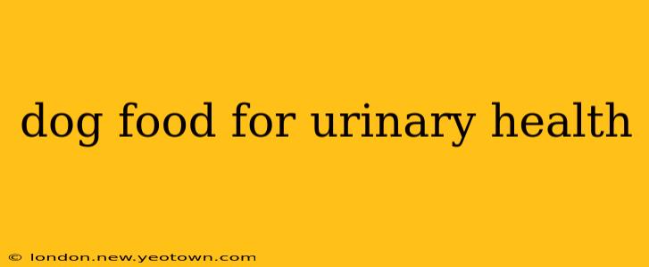 dog food for urinary health