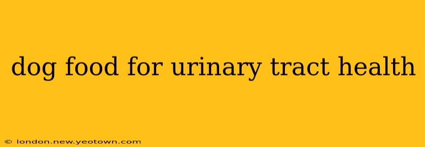 dog food for urinary tract health
