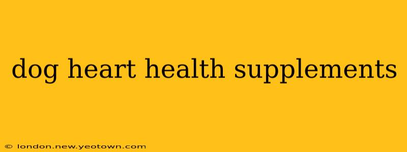 dog heart health supplements