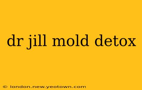 dr jill mold detox