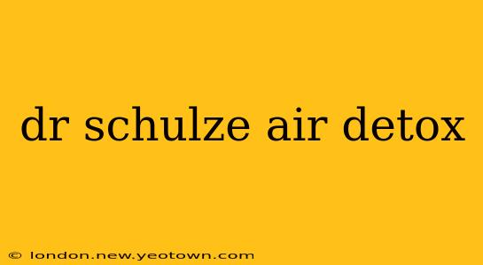 dr schulze air detox