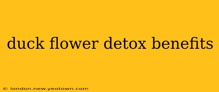 duck flower detox benefits