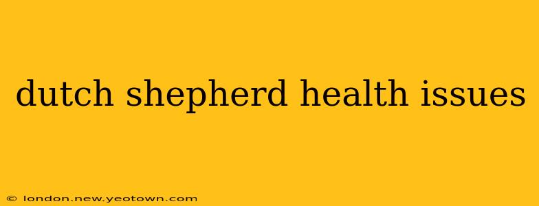 dutch shepherd health issues