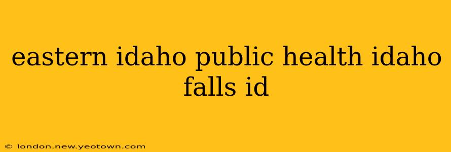 eastern idaho public health idaho falls id