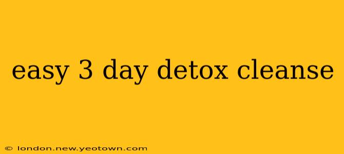 easy 3 day detox cleanse