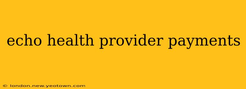 echo health provider payments