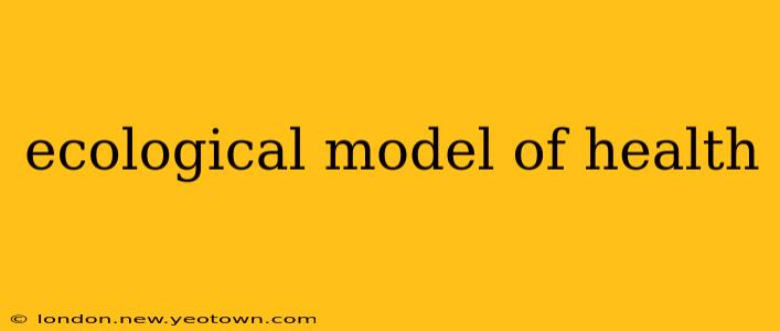 ecological model of health
