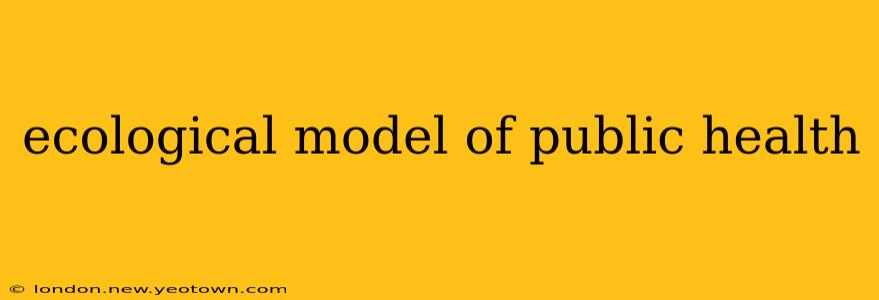 ecological model of public health