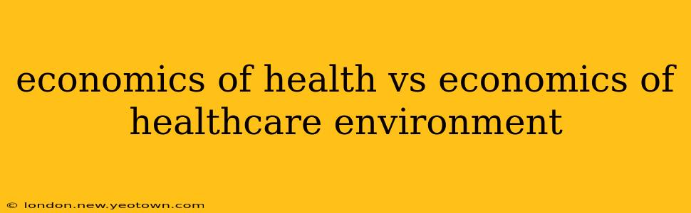 economics of health vs economics of healthcare environment