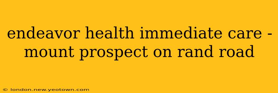 endeavor health immediate care - mount prospect on rand road