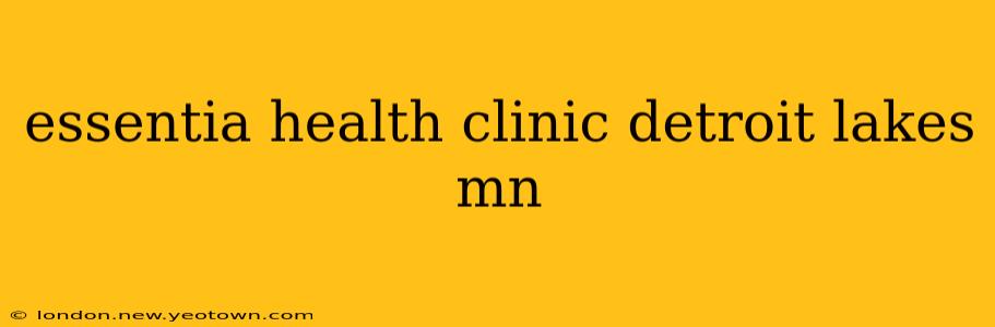 essentia health clinic detroit lakes mn