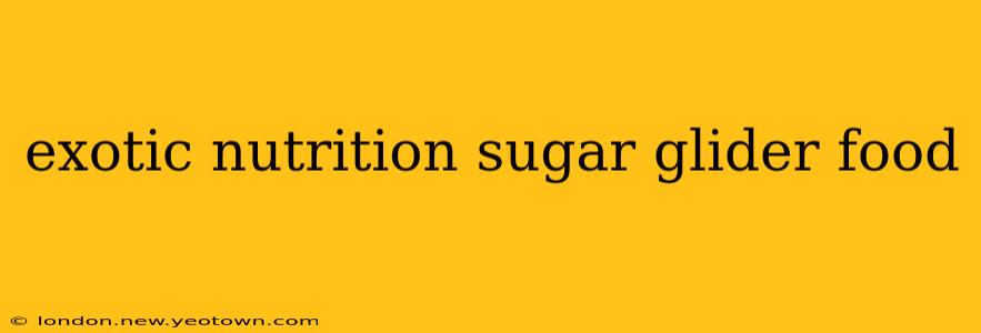 exotic nutrition sugar glider food