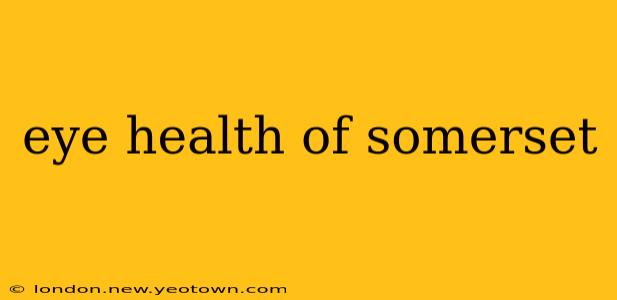 eye health of somerset