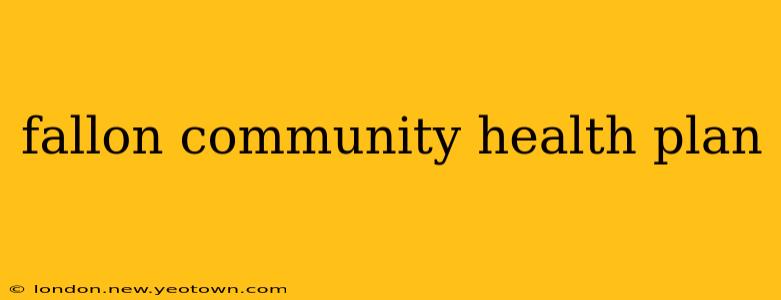 fallon community health plan