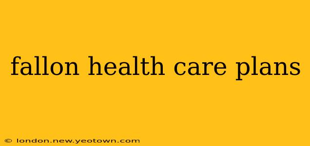 fallon health care plans