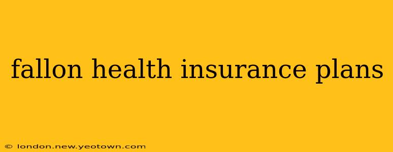 fallon health insurance plans