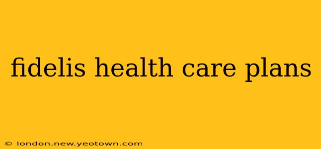fidelis health care plans