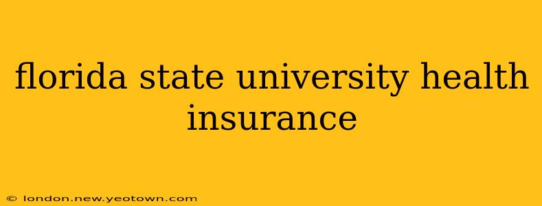 florida state university health insurance