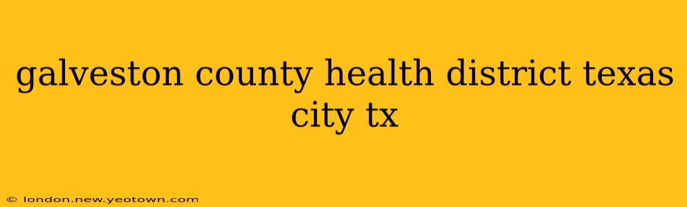 galveston county health district texas city tx