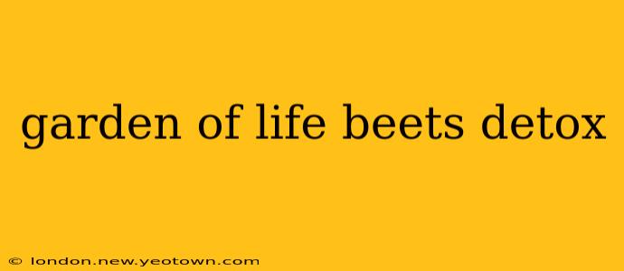 garden of life beets detox