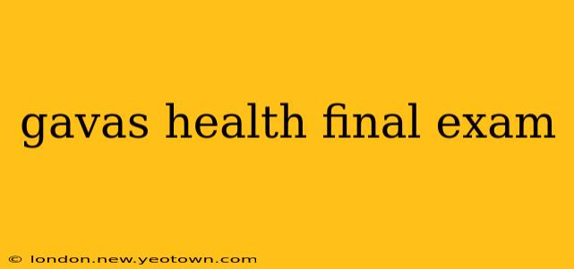 gavas health final exam