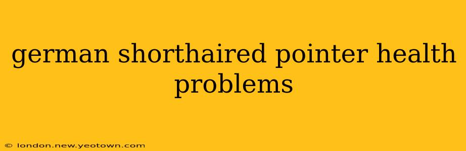 german shorthaired pointer health problems