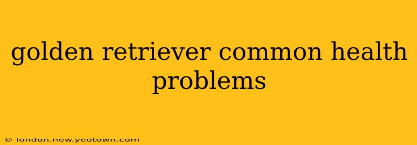 golden retriever common health problems