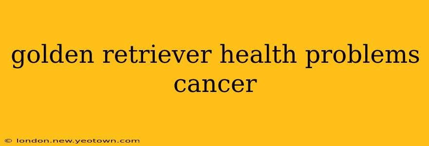 golden retriever health problems cancer