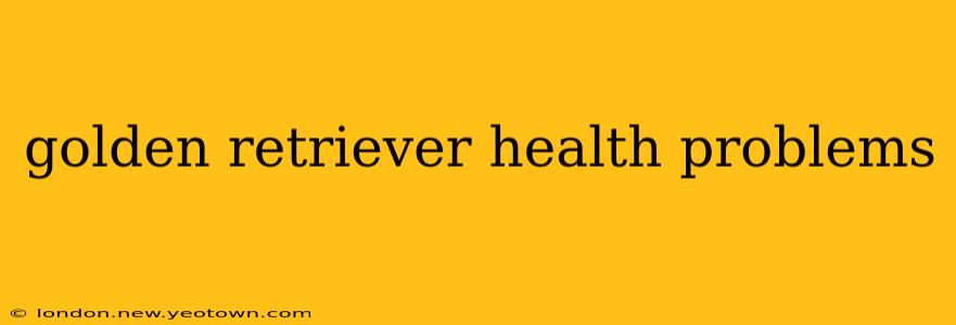 golden retriever health problems