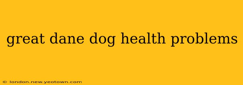 great dane dog health problems