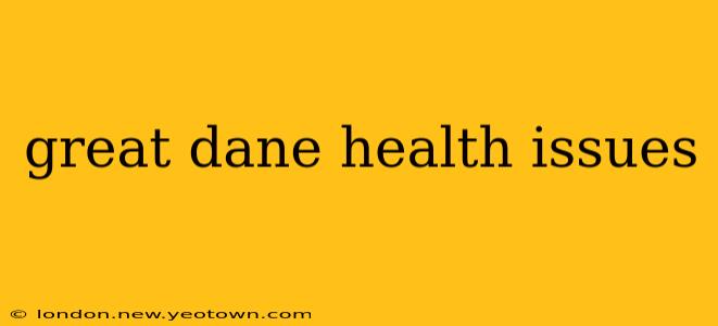 great dane health issues