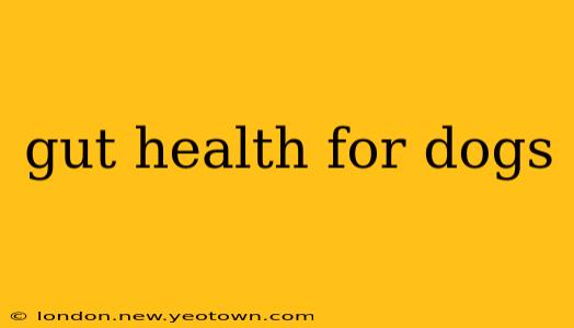 gut health for dogs