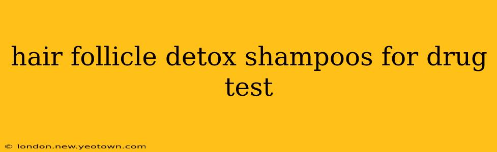 hair follicle detox shampoos for drug test