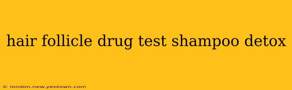 hair follicle drug test shampoo detox