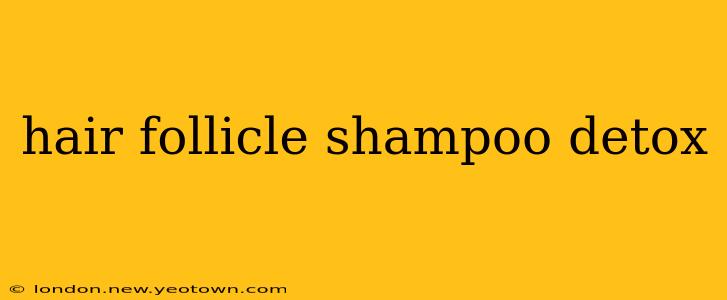 hair follicle shampoo detox