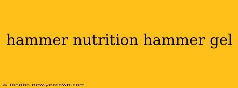 hammer nutrition hammer gel