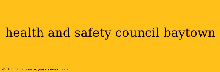 health and safety council baytown