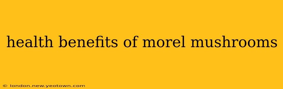 health benefits of morel mushrooms