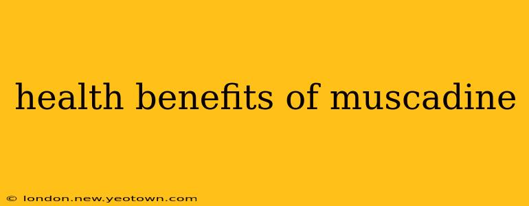 health benefits of muscadine