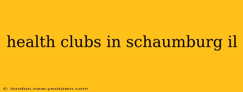 health clubs in schaumburg il