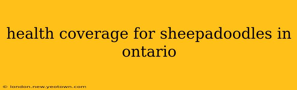 health coverage for sheepadoodles in ontario
