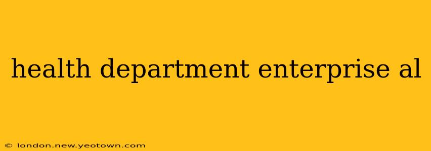 health department enterprise al