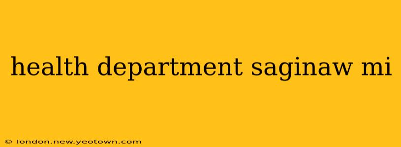 health department saginaw mi