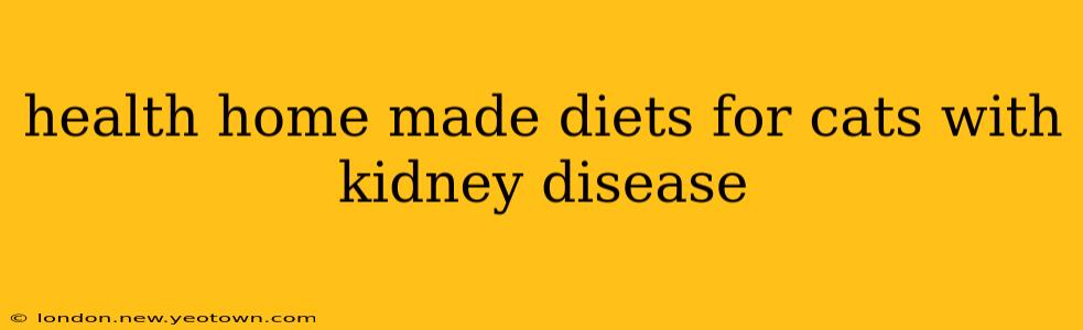 health home made diets for cats with kidney disease