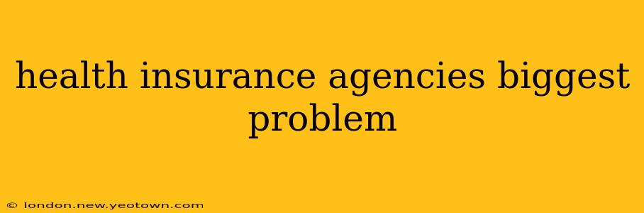health insurance agencies biggest problem