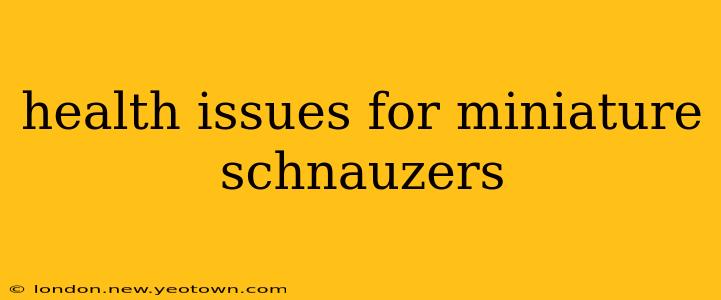 health issues for miniature schnauzers