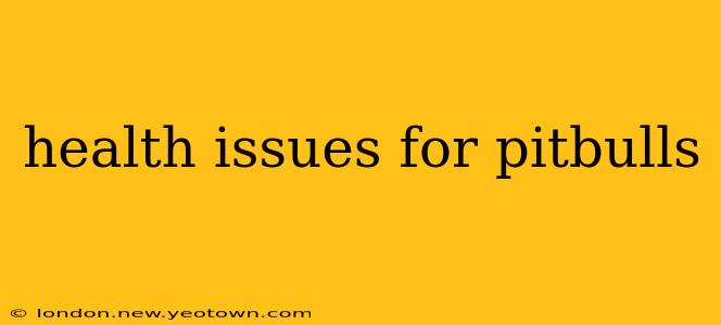 health issues for pitbulls