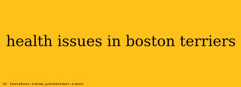 health issues in boston terriers