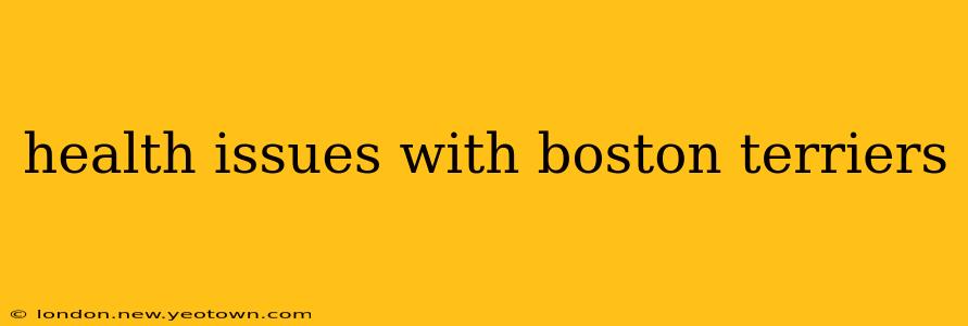 health issues with boston terriers