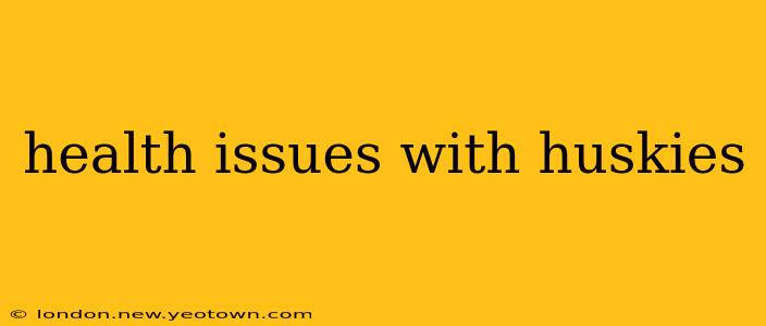 health issues with huskies